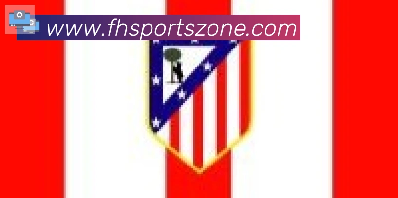 FH体育合作伙伴