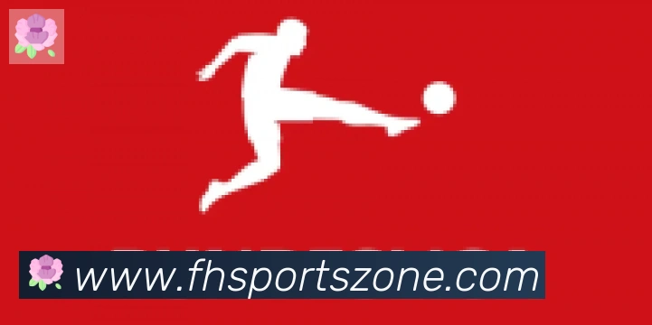 FH体育合作伙伴