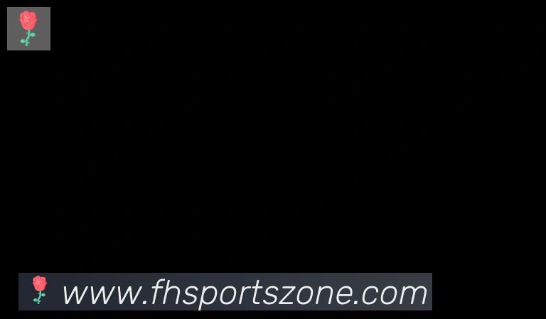 FH体育合作伙伴